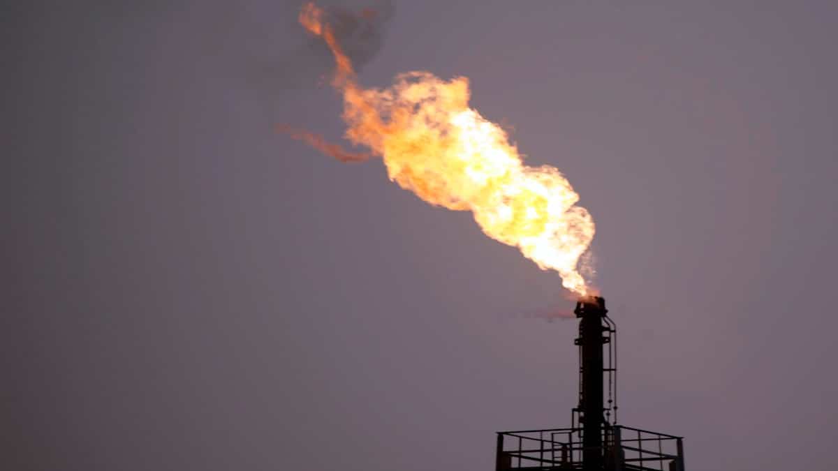 L'environnement, autre victime de la guerre au Moyen-Orient