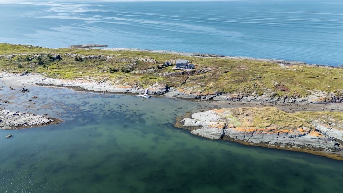 Une île du Bas-du-fleuve devenue un refuge pour les oiseaux du Saint-Laurent grâce aux efforts de son propriétaire