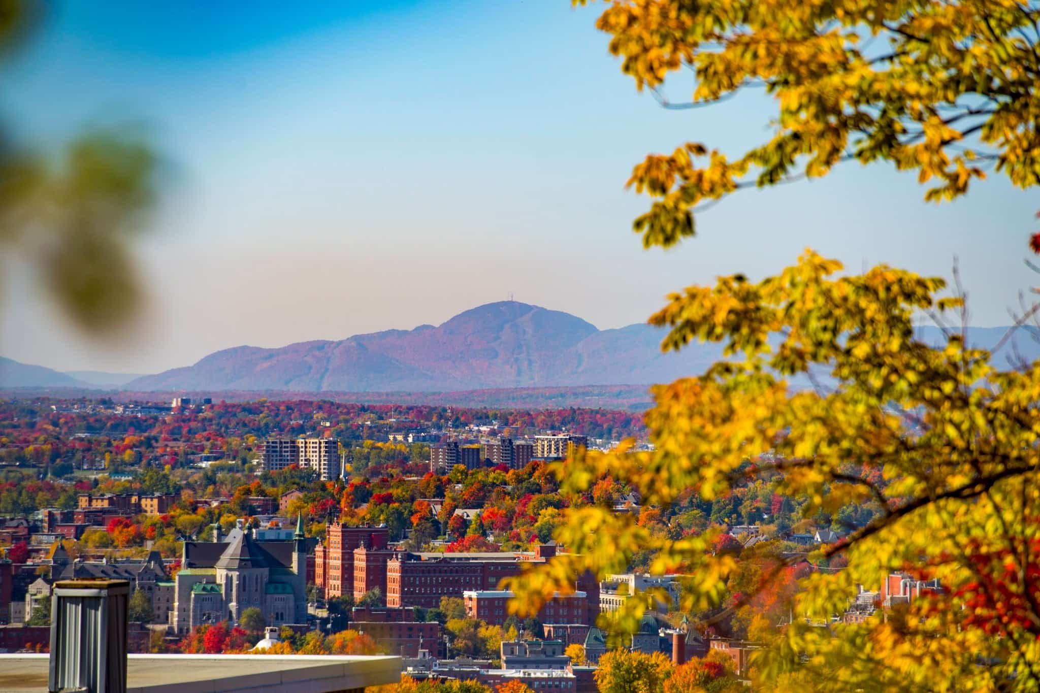 5 bonnes raisons de choisir le Cégep de Sherbrooke JDM