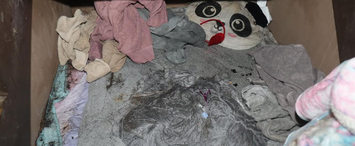 United States: The girl was found alive 2 years after her disappearance United States: The girl was found alive 2 years after her disappearance