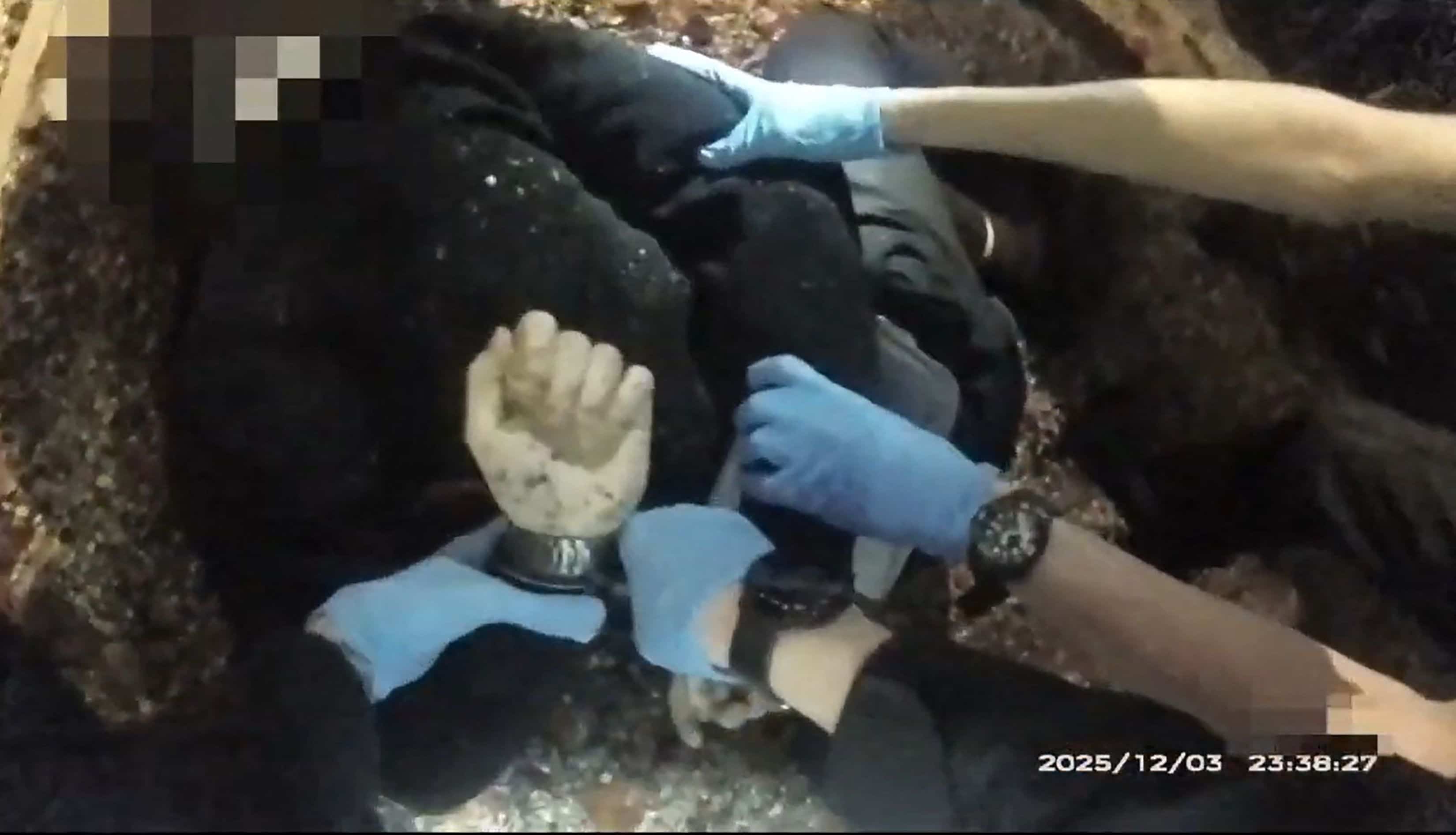 Une vidéo de la police arrêtant un étudiant poignardé à mort suscite l'indignation au Royaume-Uni