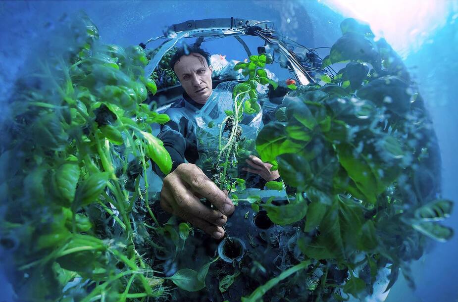 Image principale de l'article Des légumes cultivés dans des serres sous l’eau