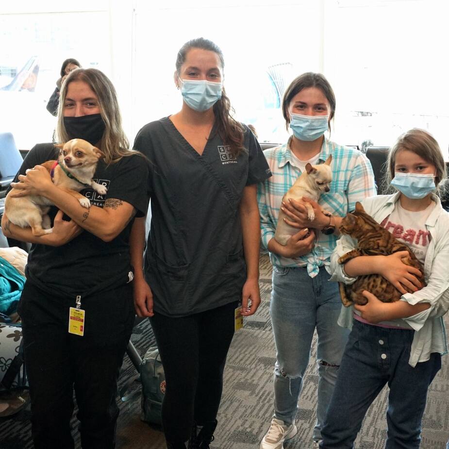 Image principale de l'article Ukraine : des animaux accueillis à l'aéroport