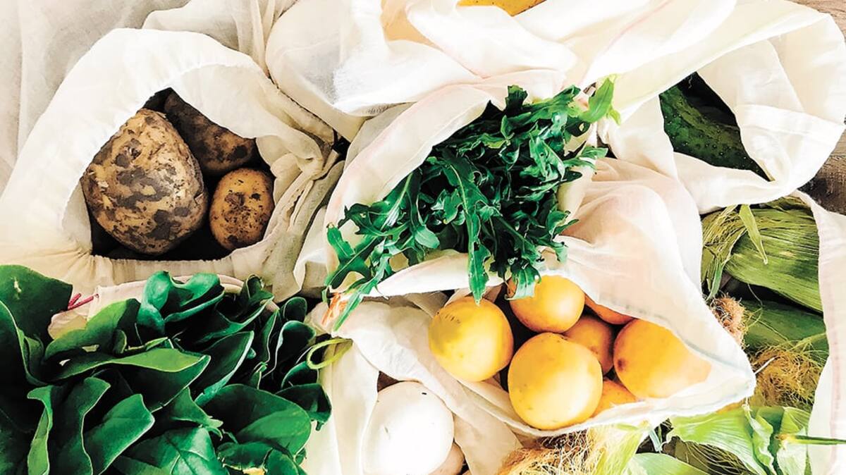 Au Canada, 96% des surplus alimentaires sont gaspillés: que doit-on faire?