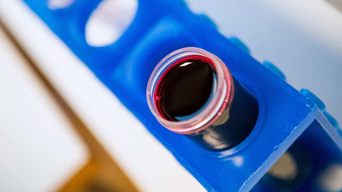 Du faux sang, nouvelle arme pour vaincre moustiques et paludisme