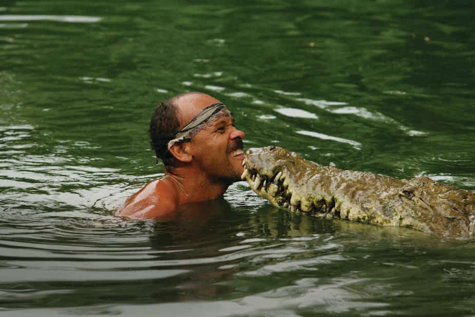 Image principale de l'article L'amitié entre un homme et son crocodile