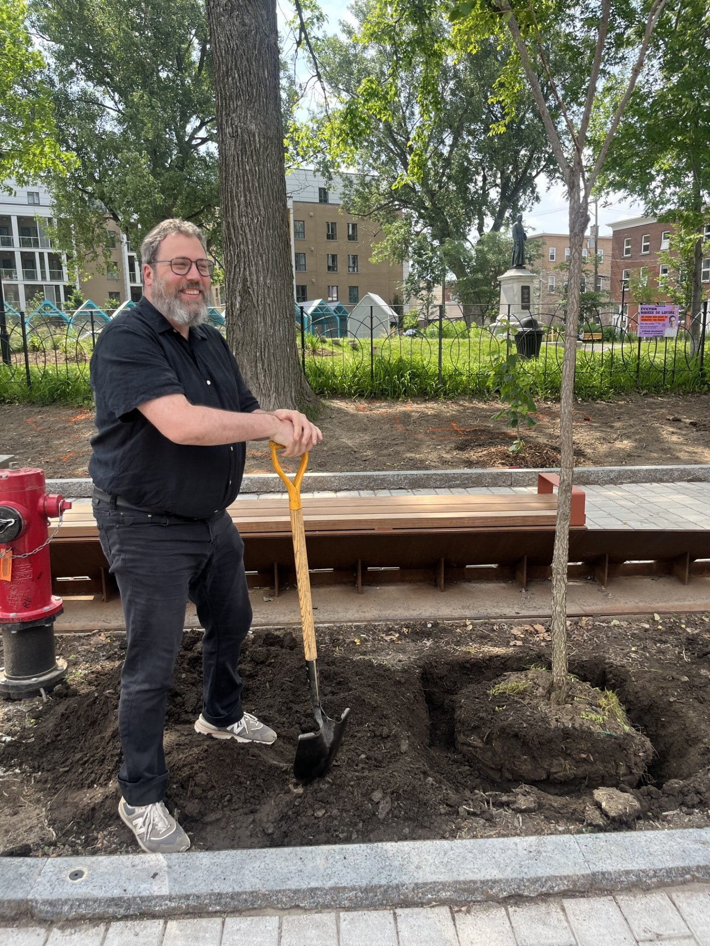 Tramway de Québec: près de 22 000 arbres plantés