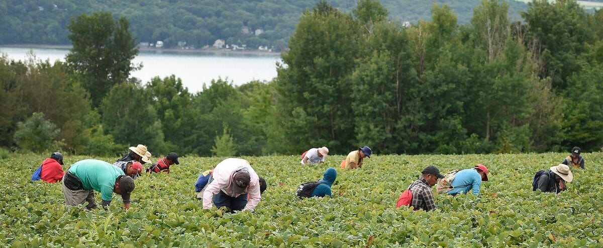 Travailleurs étrangers: même le ministère manque de bras pour traiter les demandes