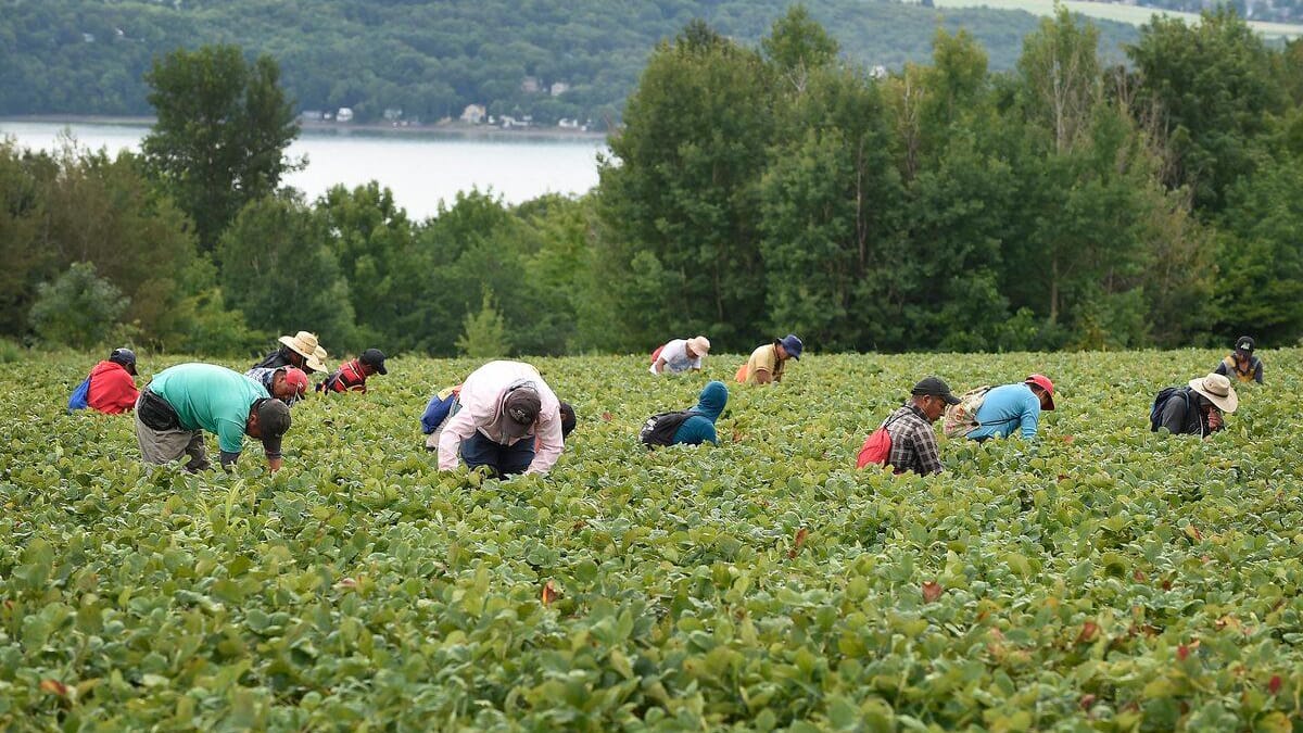 Pénurie de main-d’œuvre: les employeurs pourront embaucher plus de travailleurs étrangers