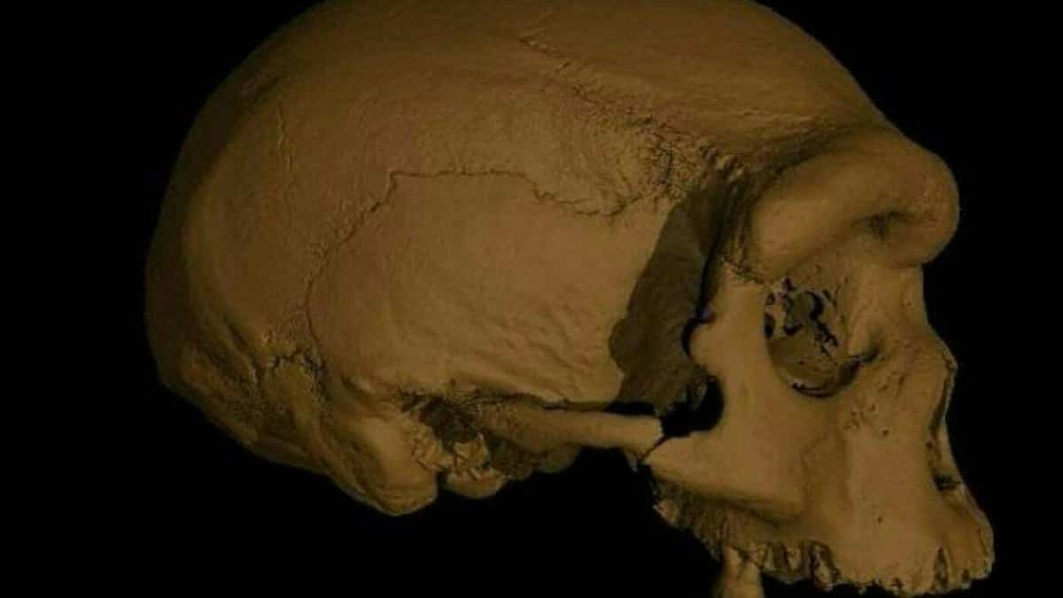 Uma nova espécie de homem pré-histórico está mais perto de nós do que os Neandertais Uma nova espécie de homem pré-histórico está mais perto de nós do que os Neandertais