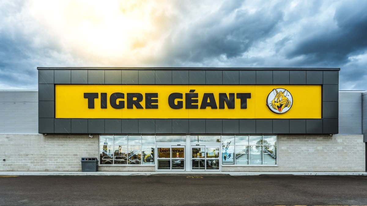 Fuite de renseignements personnels: les données des clients de Tigre Géant ont été compromises