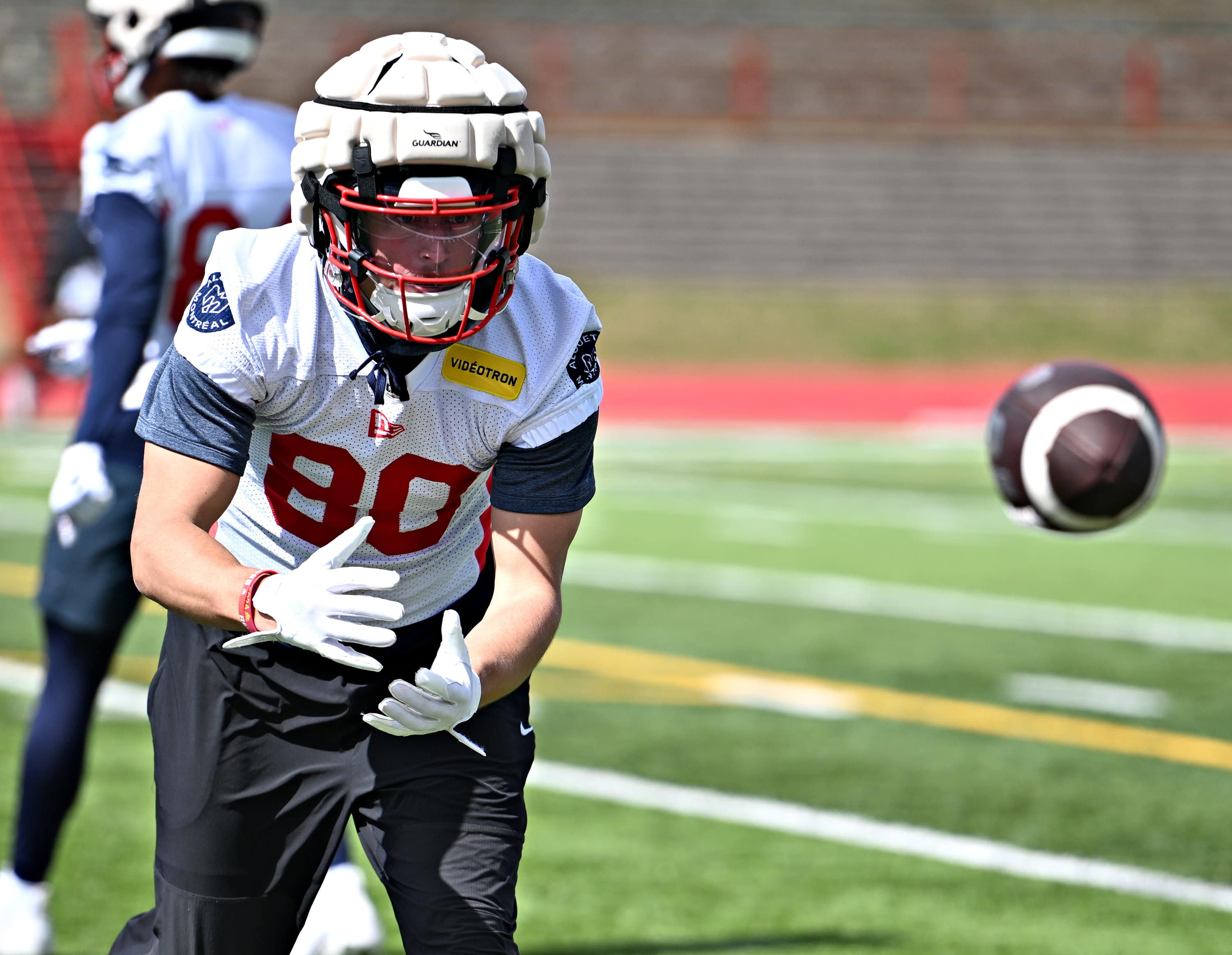 Image principale de l'article Les Alouettes libèrent 10 joueurs