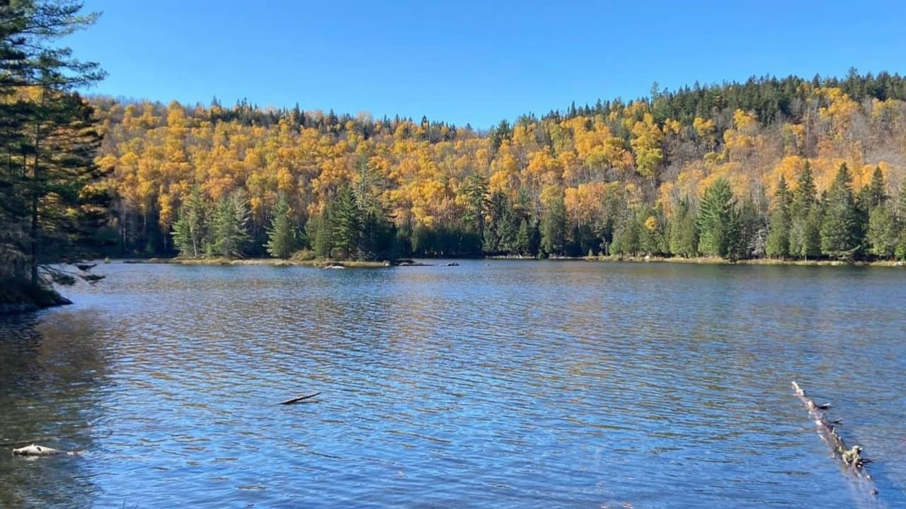 Suggestions de randonnées automnales