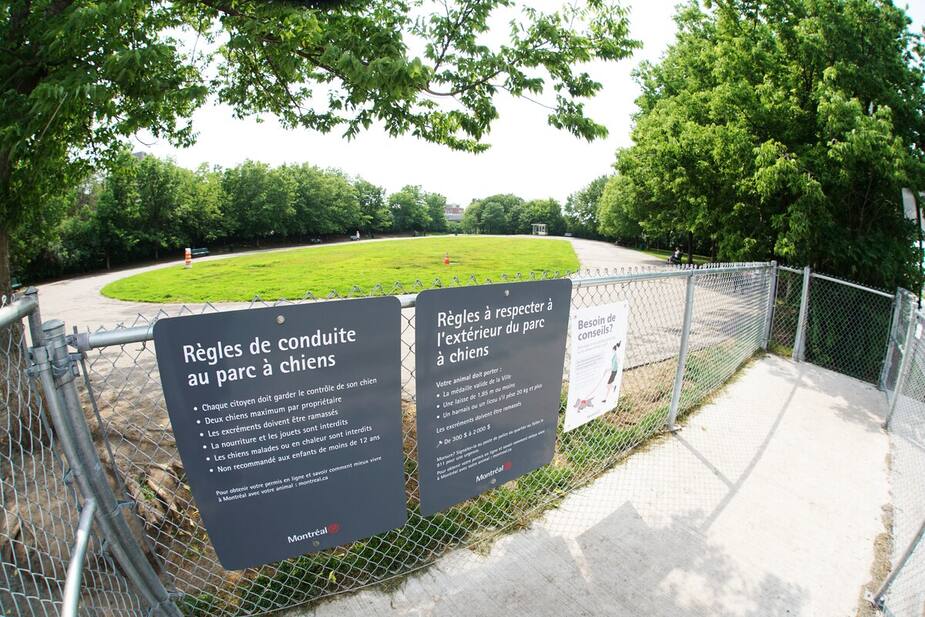 Image principale de l'article Ils ne veulent pas perdre le «meilleur» parc canin