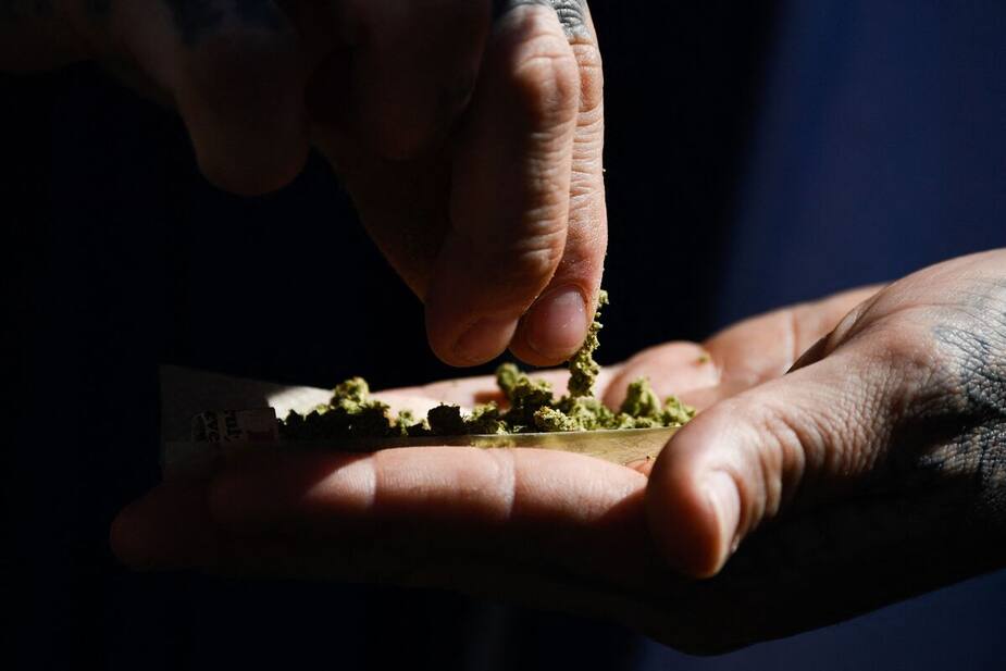 Image principale de l'article La Thaïlande va donner 1 million de plants de pot