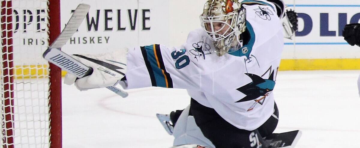 Maple Leafs add depth to goaltending 1