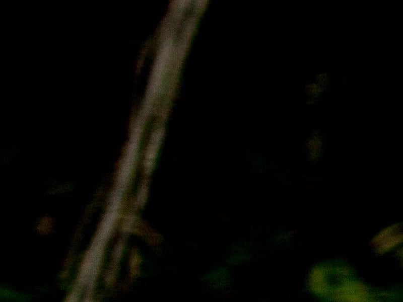 Cet archéologue québécois au cœur de découvertes fascinantes qui apportent de nouvelles perspectives sur l  évolution humaine