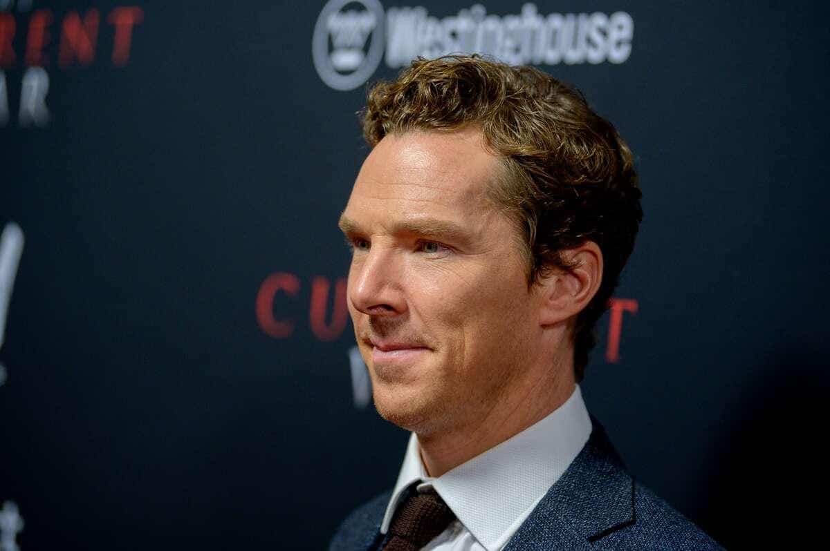 Benedict Cumberbatch: l'homme qui aimait les chats | JDM