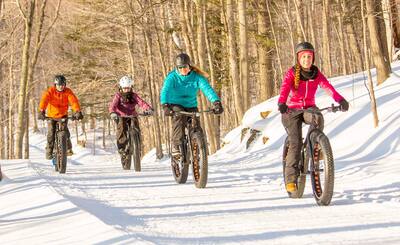Le parc national du Mont-Saint-Bruno