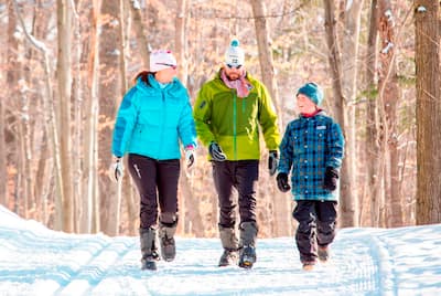 Le parc national du Mont-Saint-Bruno
