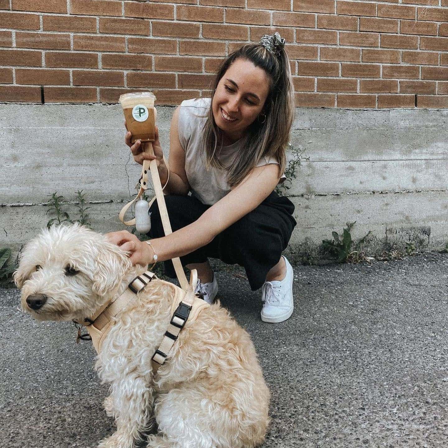 Pista annonce une bien triste nouvelle 