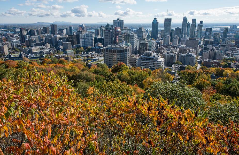 Image principale de l'article Voici pourquoi il fait aussi chaud qu’en été