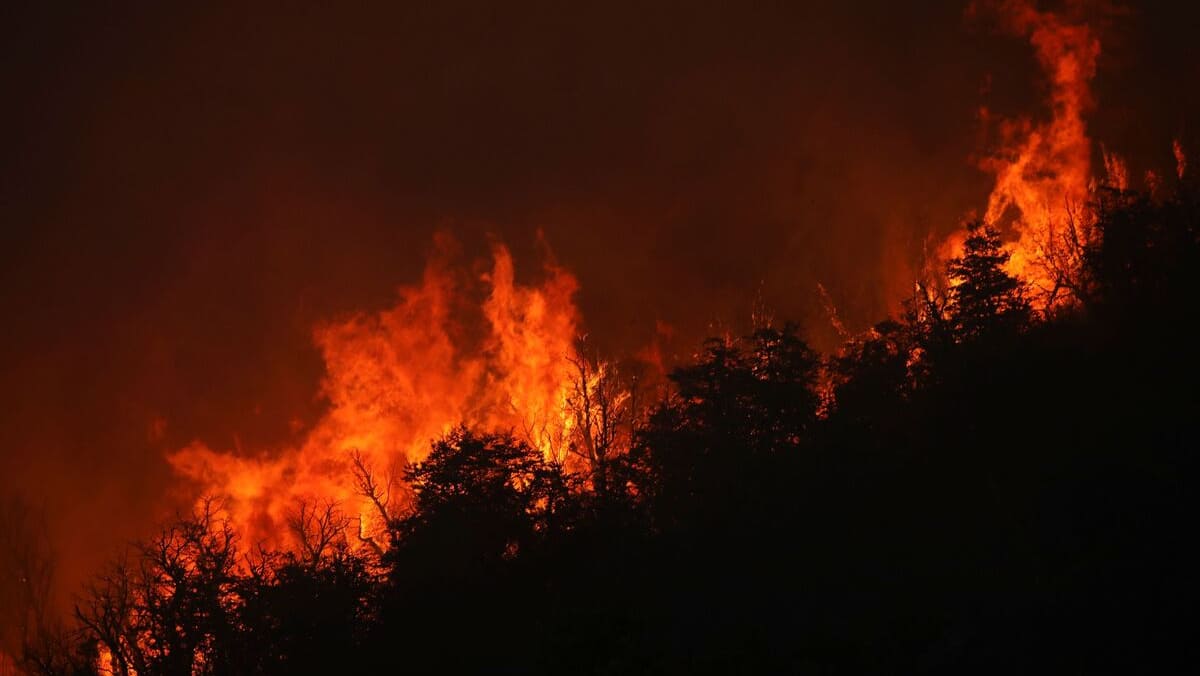 Argentine: feux de forêt continus dans le sud, l’un depuis un mois