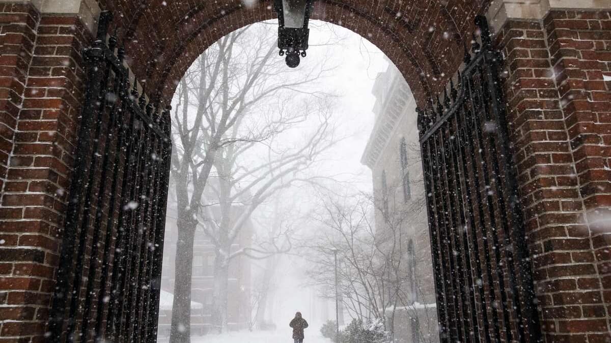 Allégations de harcèlement sexuel: trois femmes portent plainte contre Harvard