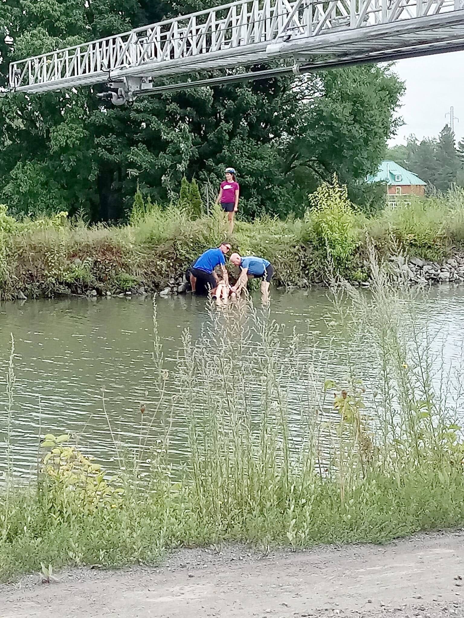El carril bici a lo largo del canal de Chambly.