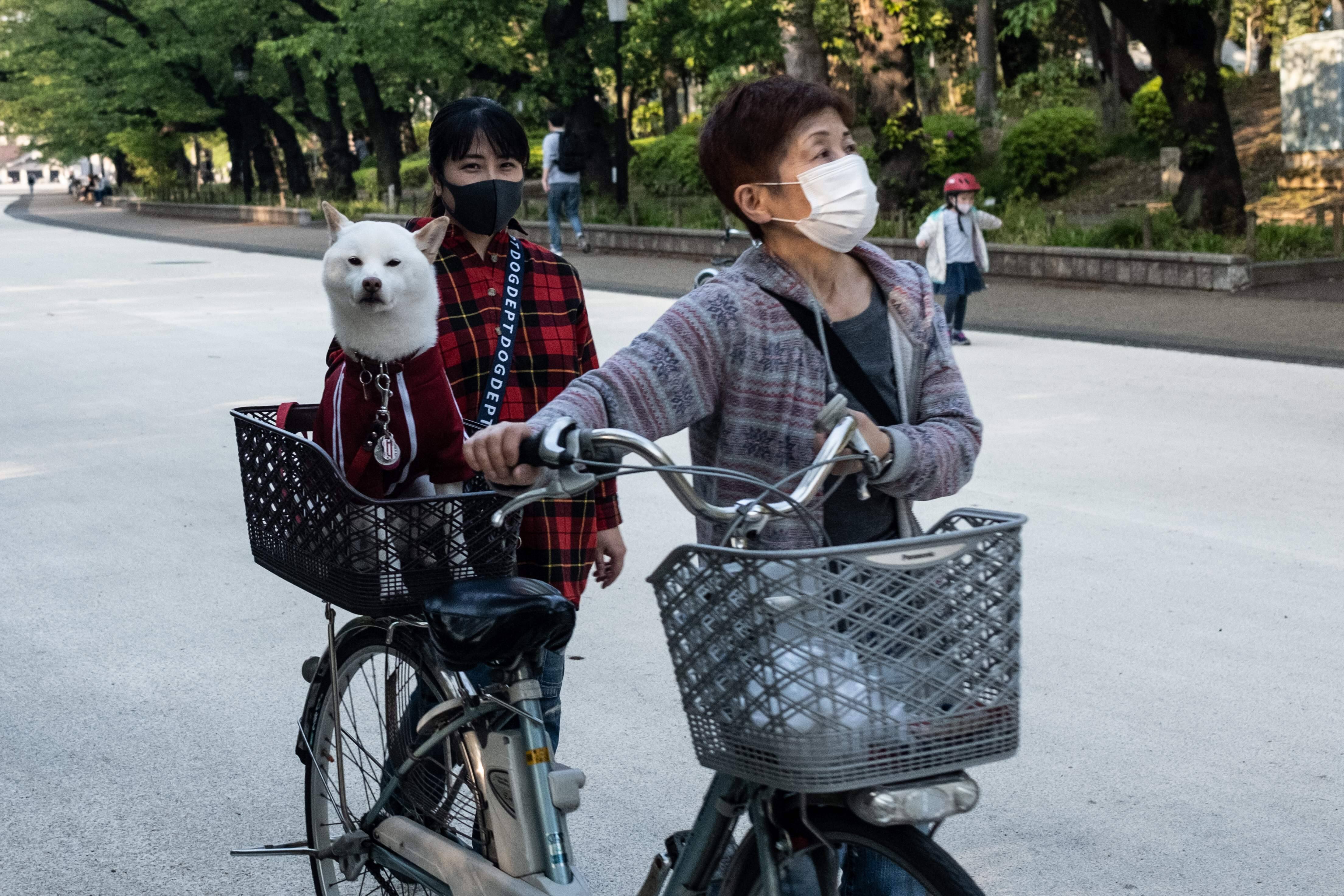 EN DIRECT | Les derniers d&eacute;veloppements sur le coronavirus
