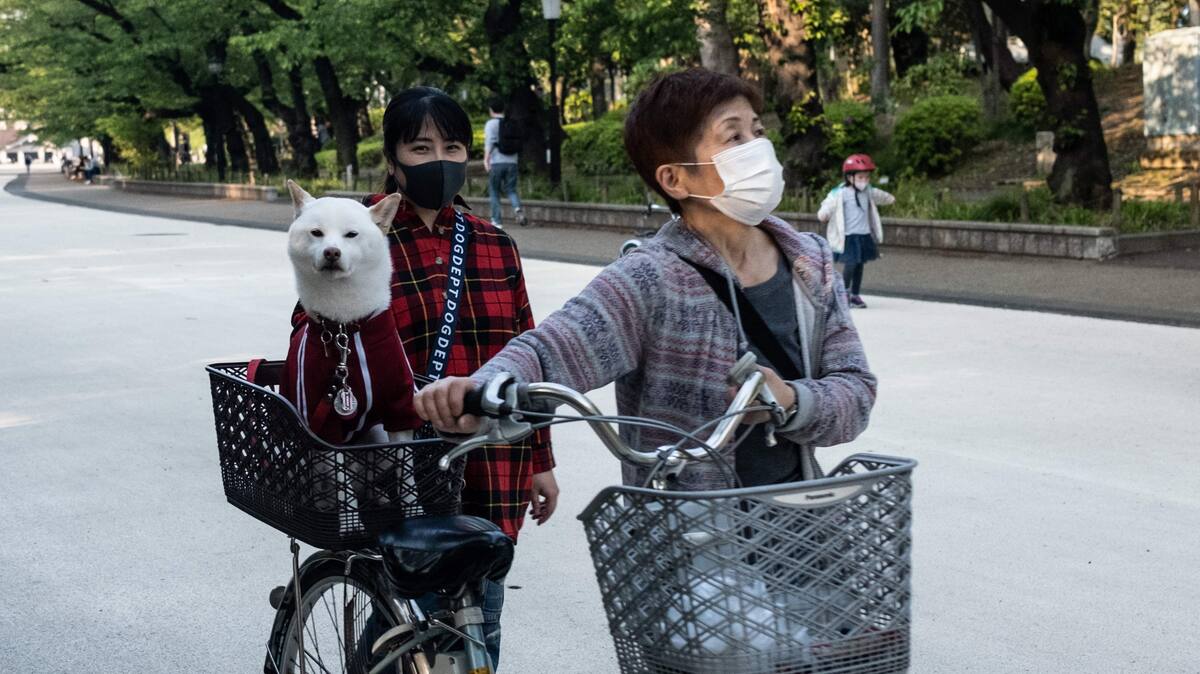 EN DIRECT | Les derniers développements sur le coronavirus