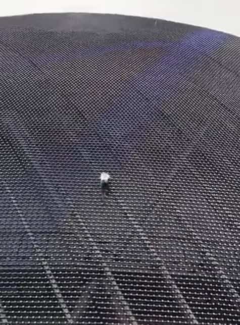 Sube a la Esfera en el Venetian Resort y causa daños por valor de 135.000 dólares