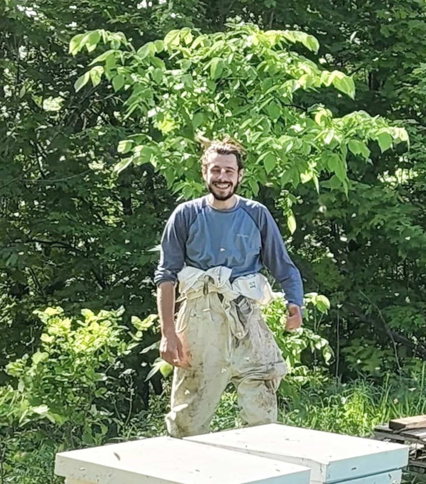 Redoux de février: des températures trop chaudes pour les abeilles | JDM