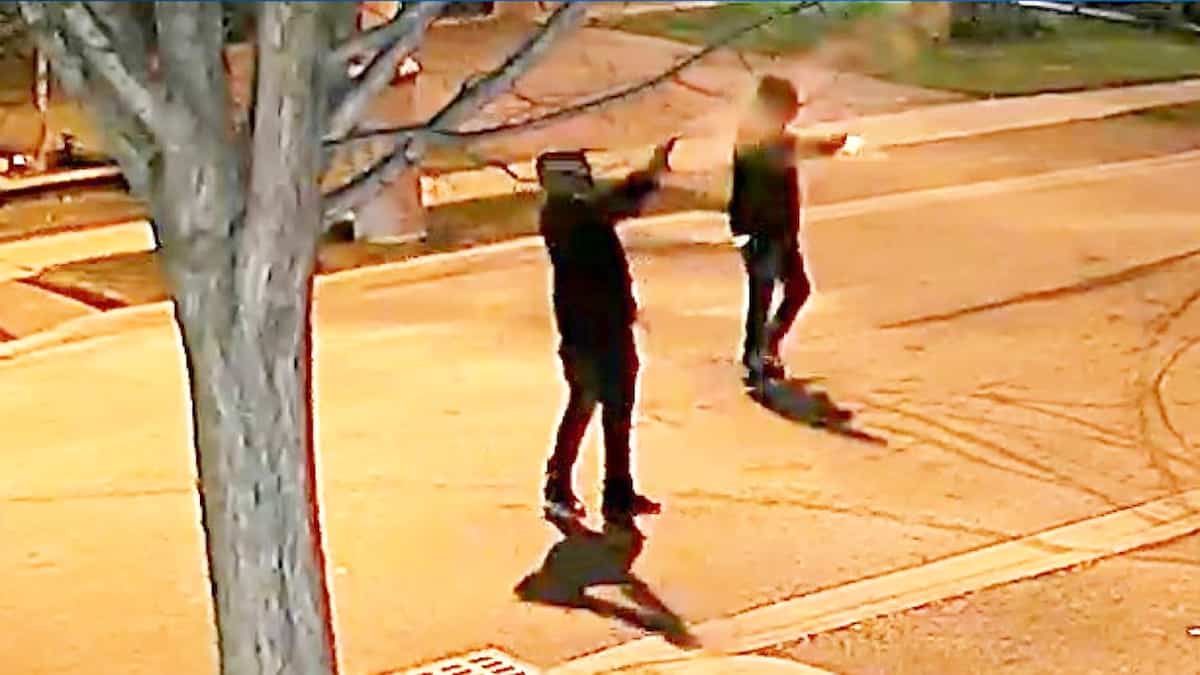 Série de fusillades et meurtres en Ontario: plusieurs accusations portées contre un homme de la Montérégie