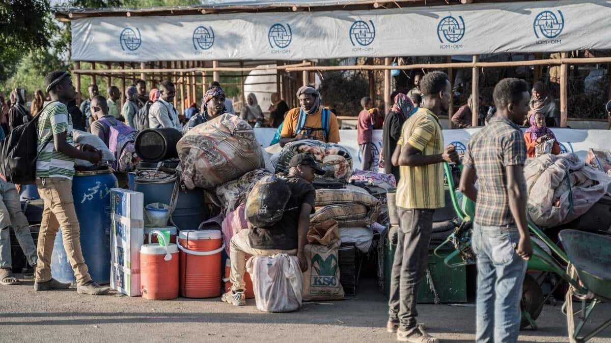 La France va envoyer une aide humanitaire à Gaza | France Culture La France va envoyer une aide humanitaire à Gaza | France Culture