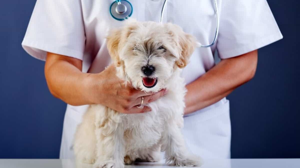 Fermeture De Cliniques Chez Groupe Daubigny: L’accès Aux Soins Et L...