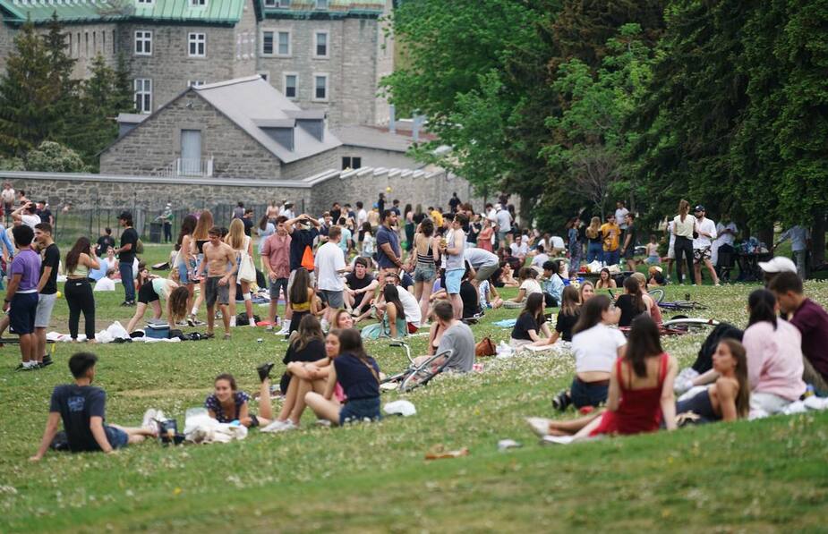Image principale de l'article 9 éclosions liées à des rencontres dans les parcs
