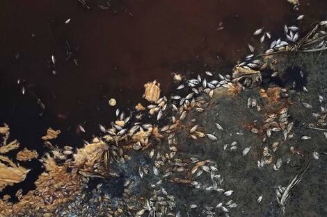 Irak-Çevre-İklim-Kuraklık Irak-Çevre-İklim-Kuraklık