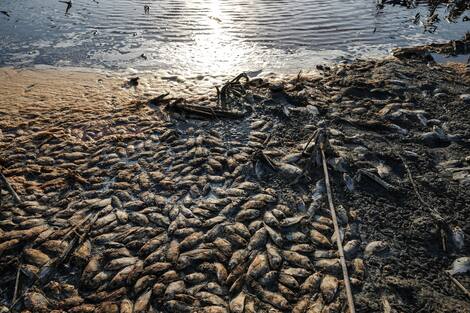 Irak-Çevre-İklim-Kuraklık Irak-Çevre-İklim-Kuraklık