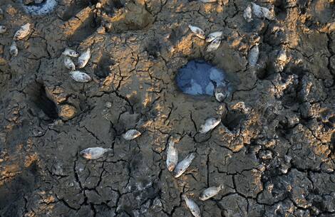 Irak-Çevre-İklim-Kuraklık Irak-Çevre-İklim-Kuraklık