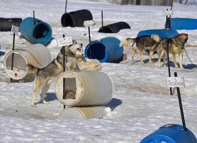 Antoine Simard cuando llegó al tribunal de Quebec el viernes por la mañana.