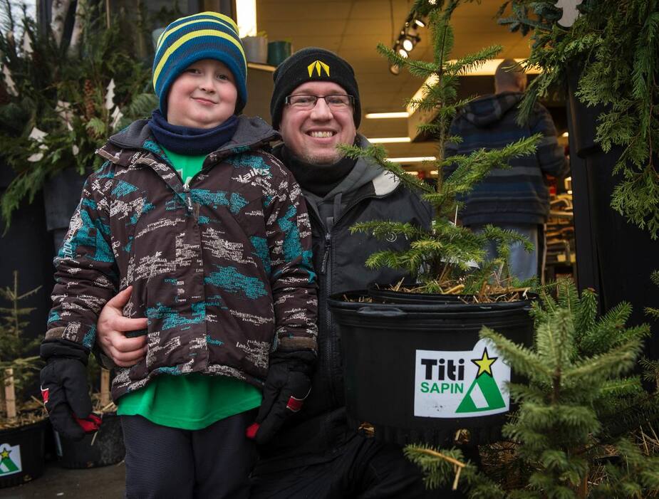 Image principale de l'article Adoptez un petit sapin pour Noël et retournez-le