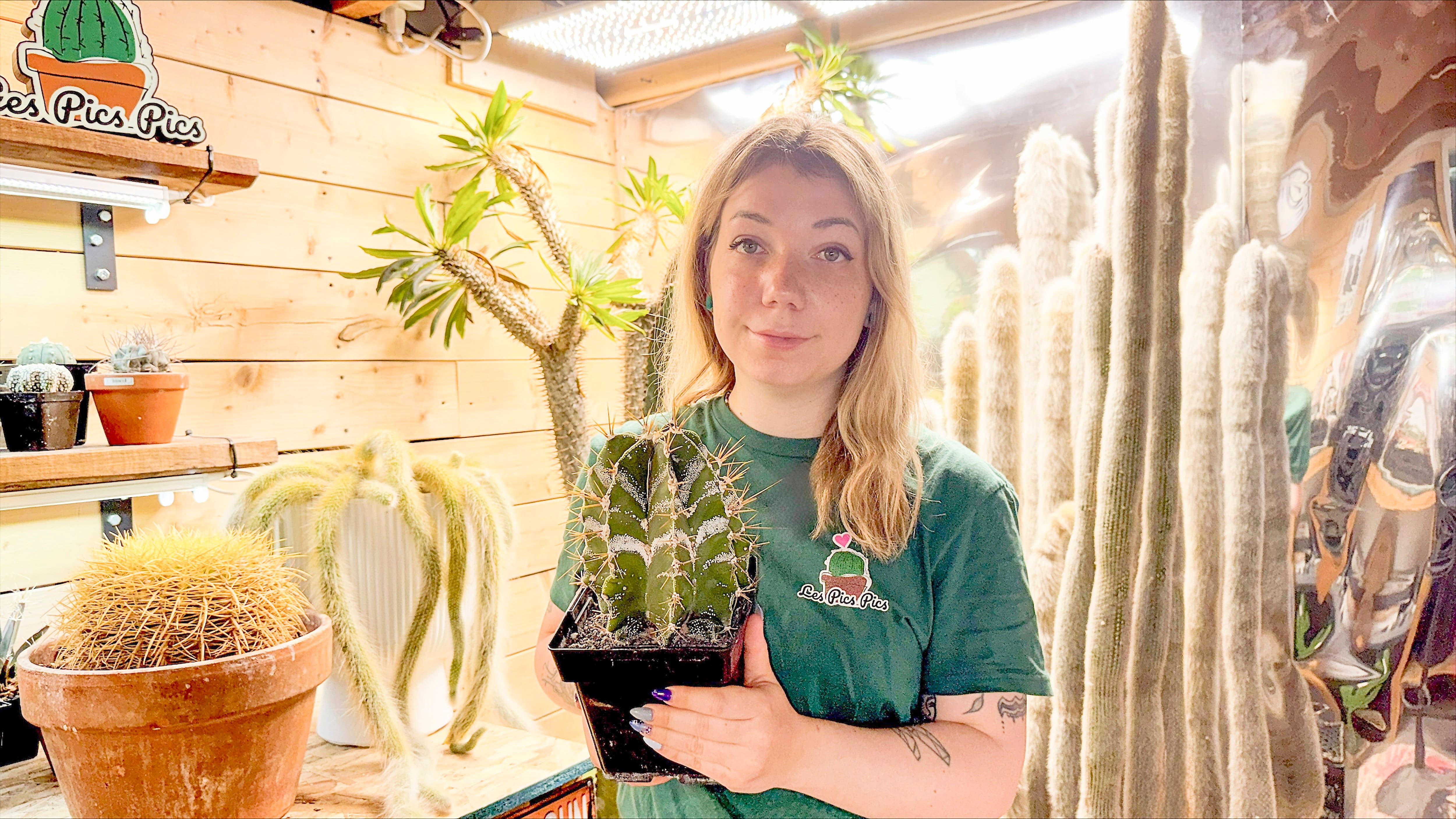 [PHOTOS] Commerce illicite en ligne: Trop facile d’acheter illégalement des plantes dangereuses pour le Québec