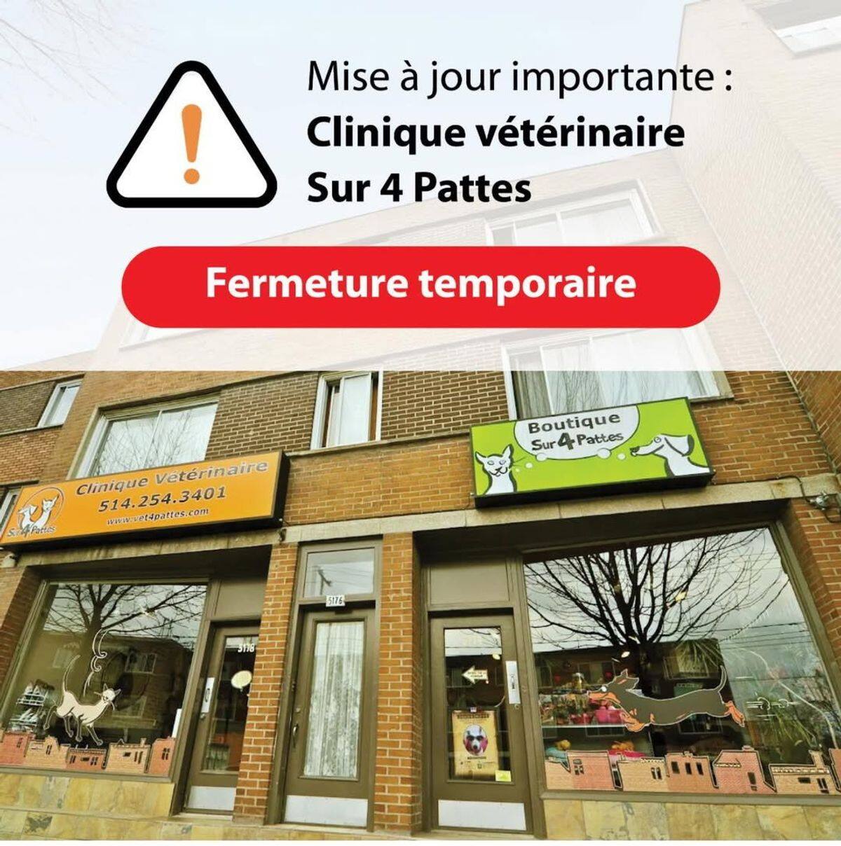 Casi una docena de clínicas veterinarias del Grupo Daubigny se han cerrado temporalmente en los últimos meses en relación con la dificultad para reclutar al personal.