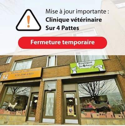 Casi una docena de clínicas veterinarias del Grupo Daubigny se han cerrado temporalmente en los últimos meses en relación con la dificultad para reclutar al personal.