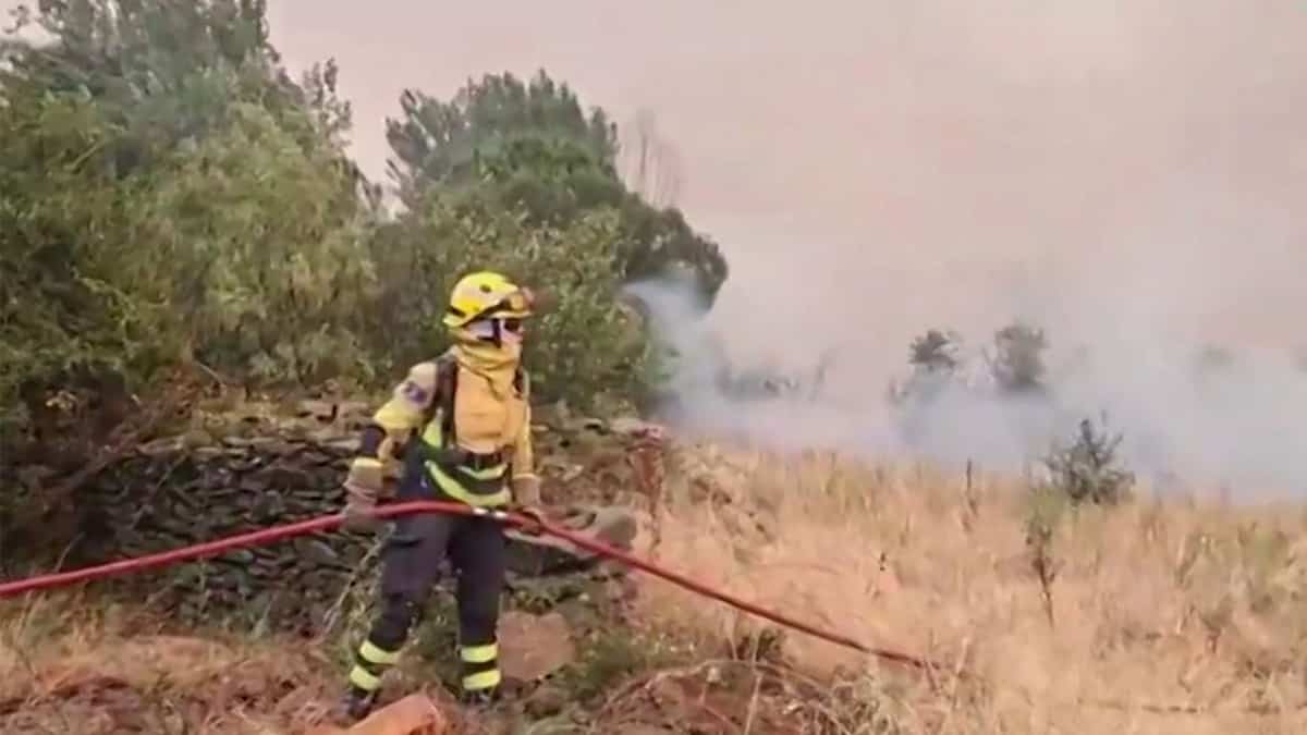 Madrid fire ‘one of the most complex’ in Spanish history Madrid fire ‘one of the most complex’ in Spanish history