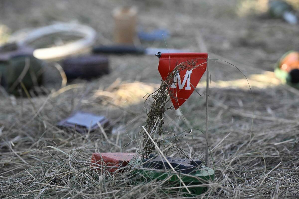 Armes «cruelles»: pourquoi il faut craindre le retour en force des ...