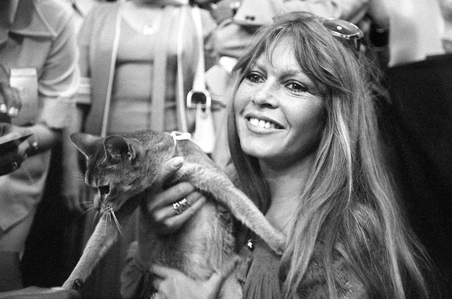 Elle s’appelait Brigitte Bardot Le Journal de Québec