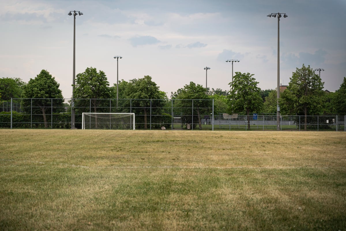 Canicule et sècheresse voici pourquoi votre pelouse est jaune JDM