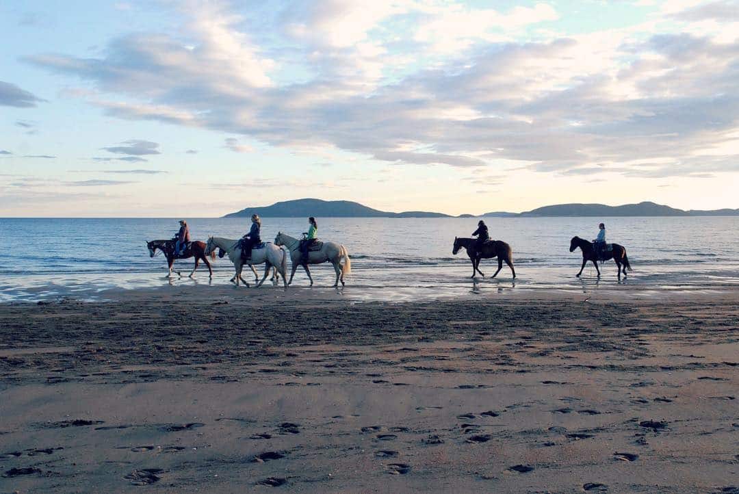 Où faire une balade à cheval sur la plage